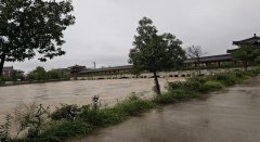 研判风险、制定“一点一策”抢险方案